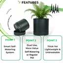 GreenShip Set of 2 Indoor Plant pots, Cylinder Planters with Drainage Hole and Planter Saucer, Jun Porcelain Clay & Recycled Resin, Decorate Home,Office & Outdoor,Black pots, 13.7in+11.8in