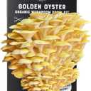 North Spore Organic Golden Oyster Mushroom Spray & Grow Kit (4 lbs) | USDA-Certified Organic, Non-GMO, Beginner-Friendly & Easy to Use | Handmade in Maine, USA (EXP 03/31/26)