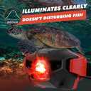 4 x KunHe 4 Pack Red Light LED Headlamps Flashlights Headlight Bright Head Lamp for Adults Night Vision Explore and Outdoor Camping Running Hiking Fishing