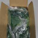 BLEUM CADE Fake Hanging Plants, 2pcs Artificial Pothos Vines Greenery for Wall Home Living Room Office Indoor Outdoor Decor (No Baskets)