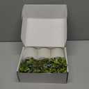 Der Rose 3 Pack Mini Potted Fake Plants Artificial Plastic Eucalyptus Plants Topiaries for Home Office Desk Farmhouse Shelf Room Bathroom Decor(Sage Green)