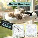 Cordless Cat Window Perch, Foldable Cat Window Hammock, 4 Strong Suction Cups, Solid Metal Frame, Patented Hook Design, Cushion White, L