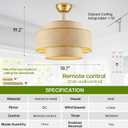 20" Boho Gold Caged Fandelier Ceiling Fan with Light and Remote, Enclosed Reversible 6-Speed Rattan Ceiling Fan with 1/2/4H Timer for Bedroom, Living Room, Kitchen