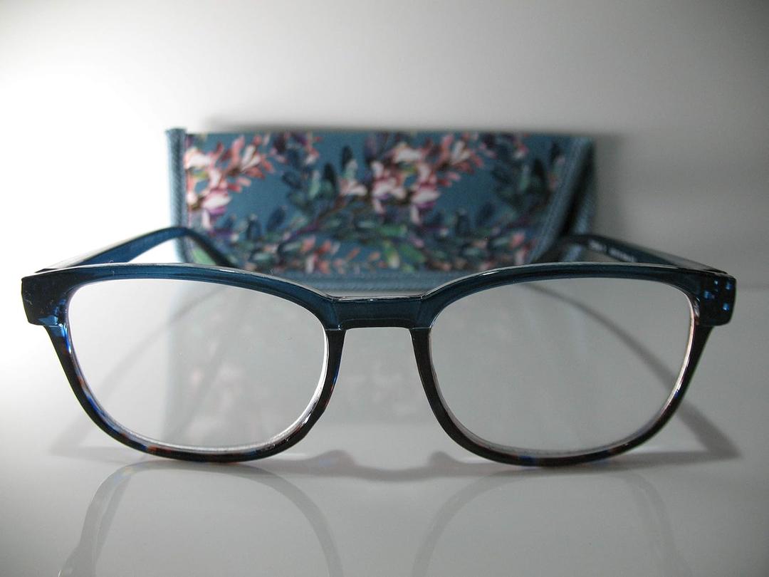 Foster Grant Misha Blue Multicolor Flower Reading Glasses w/Case +2.75