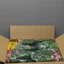 20 Bundles Realistic Artificial Flowers for Outdoors, UV Resistant No Fade Fake Flowers with Plastic Faux Shrubs Plants for Garden Patio Porch Window Box Home Wedding Farmhouse Outside Hanging Decor