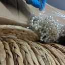 50 Set 13 Inch Round Woven Placemats with Pearl & Rhinestone Napkin Rings