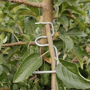 Fruit Tree Branch Puller 50pcs, Fruit Tree Branch Limb Spreader Fruit Tree Branch Garden Bonsai Puller Tying Machine Plants Branch Bending Tools (M5.1IN)