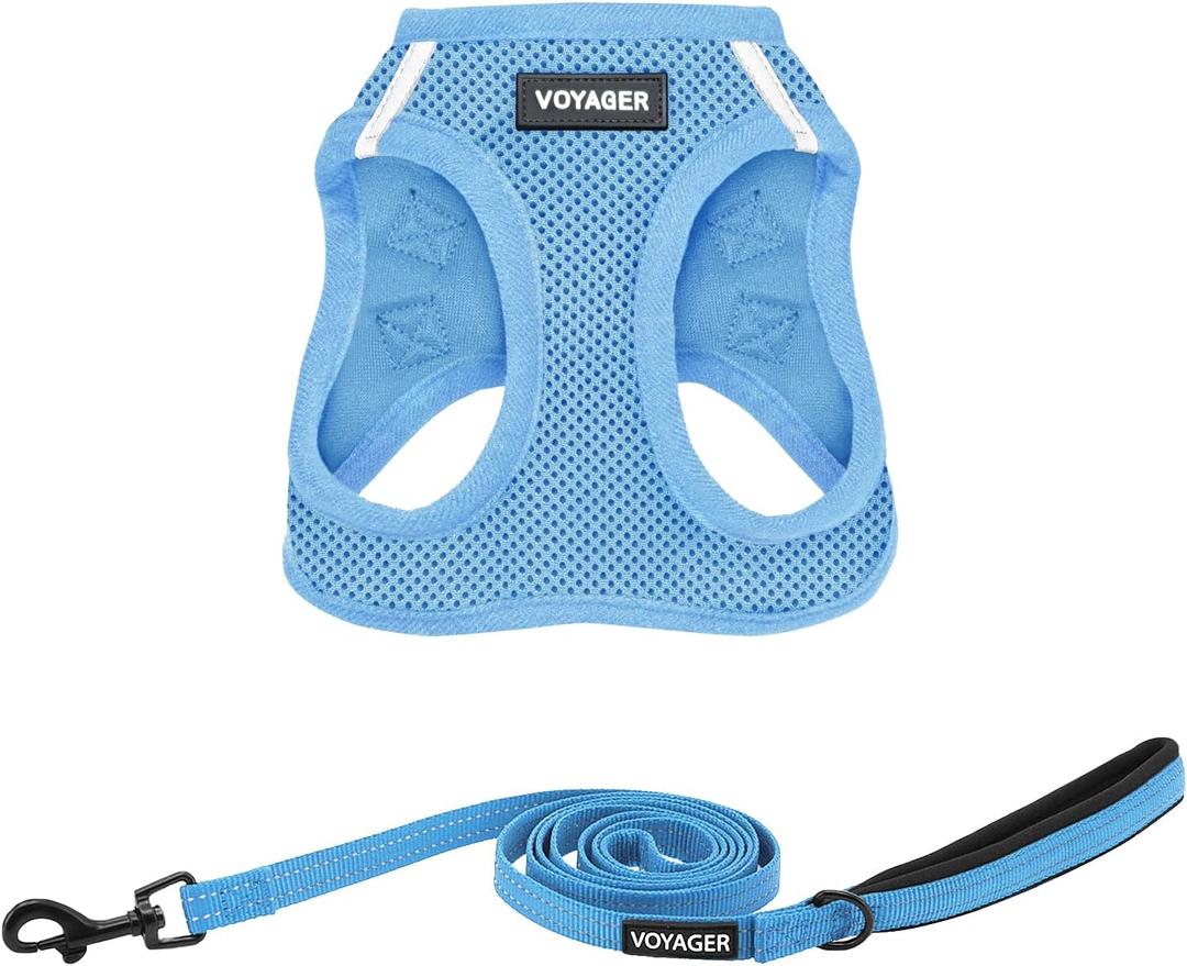 Best Pet Supplies Voyager Step-in Air All Weather Mesh Harness and Reflective Dog 5ft Leash Combo with Neoprene Handle, for Small, Breed Puppies - Set (Baby Blue), Small