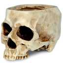 READAEER Skull Planter with Drain Hole, Resin Skull Shaped Flower Pot Candy Bowl, Gothic Decoration for Home Office Desk- White