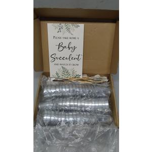 Fulmoon 151 Pcs Baby Shower Favors for Guests Include 1 Greenery Sign 50 Watch Baby Grow Succulent Tags 50 Small Metal Bucket with 50 Succulent Stickers for Guests