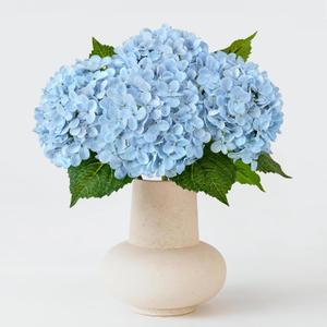 ZYTUYO 20 inches 4 Pcs Sky Blue Real Touch Hydrangea Artificial Flowers Boho Lifelike Real Looking Latex Hydrangeas Flower with Long Stem for Home Decor Spring Table Centrepiece