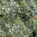VOPVZVKO Two Artificial Outdoor 4' Spiral Boxwood Topiary UV Rated! Free Returns!