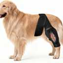 Dog Knee Brace for ACL Tear, Cruciate Ligament Brace for Dogs - Adjustable Leg Support for Front & Rear Legs, Support for Surgery Recovery, Hip Dysplasia, Arthritis, CCL & Ligament Injuries (M)