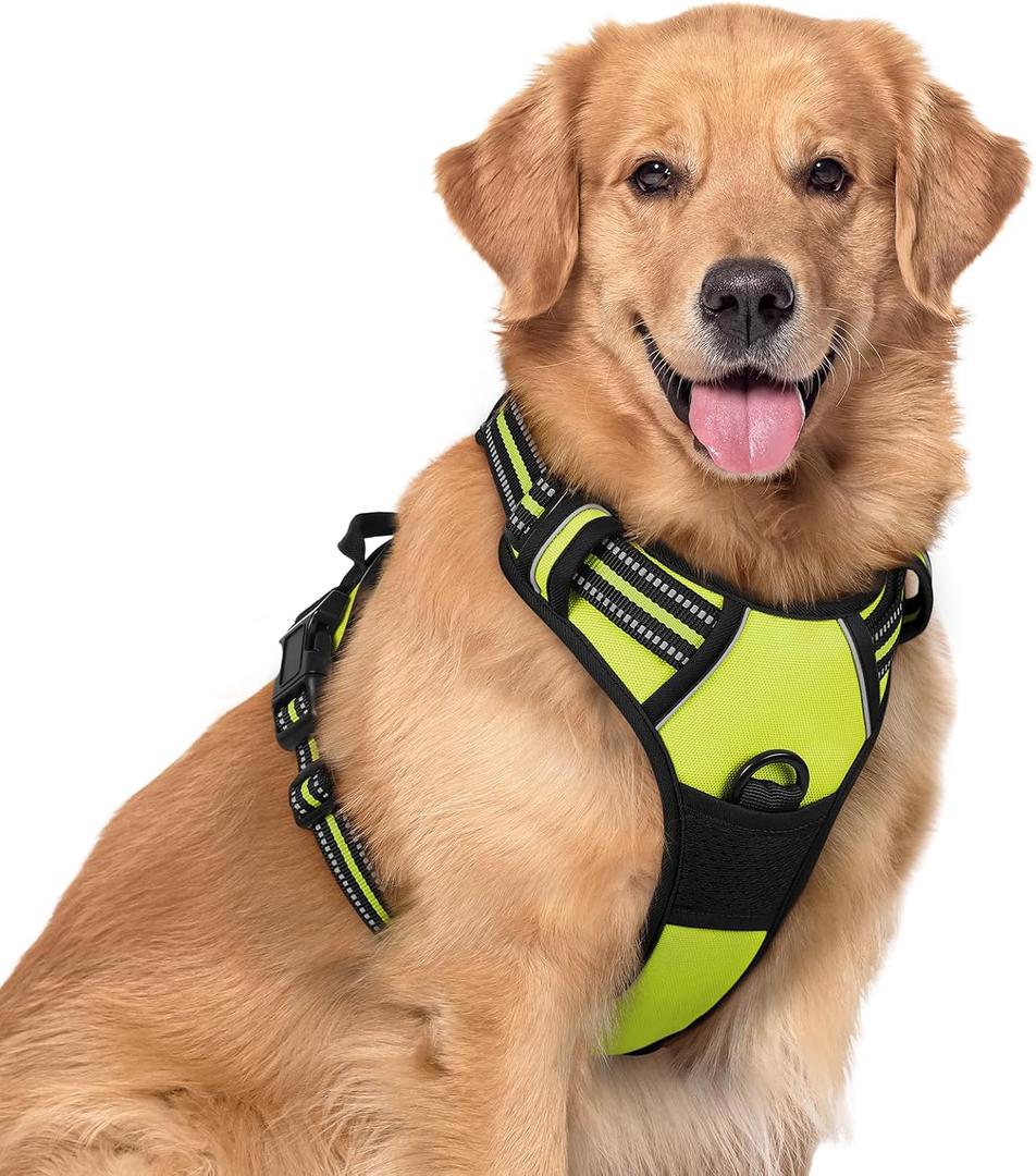 Rabbitgoo Dog Harness No Pull with 2 Leash Clips, Adjustable Soft Padded, Reflective Oxford No Choke Pet Vest with Easy Control Handle for Large Dogs, Green, XL