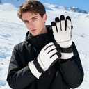Pistha Winter Gloves Men Waterproof Gloves Thermal Ski Snow Gloves with Screen Touching for Cold Weather Outdoor Sports Work, L