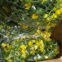 RECUTMS Hanging Garland Plants Artificial Eucalyptus Garland Fake Hanging Eucalyptus Leaf Garlands with Flowers Faux Vine Plants for Indoor Outdoor Spring Thanksgiving Wall Arch Wedding Decor(Yellow)