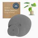 Dorai Stone Plant Pot Saucer  1 Large and 1 Small Diatomite Water-Catching Trays for Indoor Plants