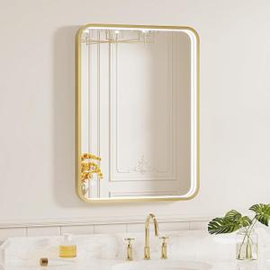LED Bathroom Mirror with Lights, 20x28 Inch Brushed Gold Metal Frame LED Mirror for Bathroom, Stepless Dimmable 3 Colors Wall Mounted Lighted Bathroom Vanity Mirror, Anti-Fog, Memory