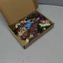 10/12/24/36 Pack Mini Dried Flowers for Vase Wedding Various Mini Bouquet Dried Small Wildflowers Natural Flowers Bulk for Crafts DIY Decor (12, Romantic Colour)