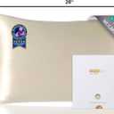 ZIMASILK 100% Pure Mulberry Silk Pillowcase for Hair and Skin Health,Soft and Smooth,Both Sides Premium Grade 6A Silk,600 Thread Count,with Hidden Zipper,1pc(Standard 20''x26'',Beige)