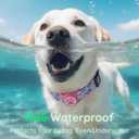 WhoseID Airtag Dog Collar,with Waterproof airtag HolderOriginal Stylish Cute Pattern Design.QR Code ID BuckleComfortable Soft Cotton for Dogs
