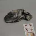 CJL HAIR Claw Clip Short Ponytail Hair Extensions DIY Bendable Metals Messy Bun Hair Piece for Women Wavy Curly Synthetic Fake Hairpieces White