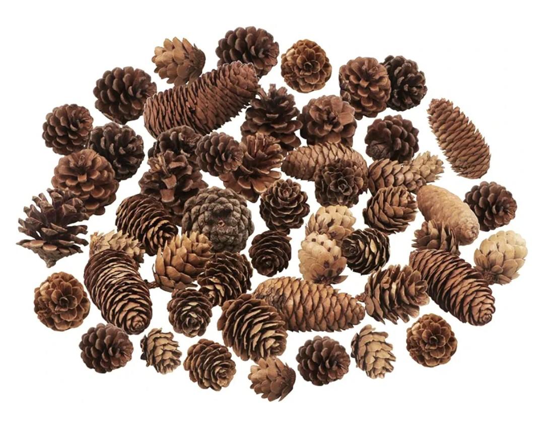 40 PCS Rustic Pine Cone Decorations - Large, Medium and Mini Sizes for Table, Tree and Home Decor