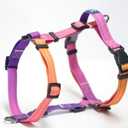 Roses&Poetry Dog Harness with Leash, No Pull Adjustable Harness Leash, Reflective Dog Halter Harnesses Comfort Padded Handle, Pet Walking Harness for Medium DogsMistyrose-M
