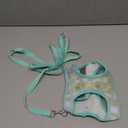 Occupiedpet Breathable Mesh Dog Harness and Leash Set, Reflective Adjustable Vest for Walking Small Medium Pets, 59 Inch Polyester Lead Included (S)