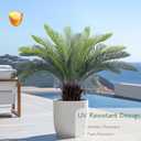 5 x Bellacat 2ft Artificial Cycad Tree UV Resistant with Lifelike Bark & Realistic Leaves, 24in Super Full Faux Sago Palm Tree, for Porch Patio Front Door Home Office Decor