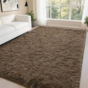 DweIke Fluffy Light Brown Rugs for Bedroom Living Room, 5x8 Feet Soft Plush Shaggy Light Brown Girls Boys Kids Rug, Non-Slip and Machine Washable Carpet for Dorm Nursery Classroom Decor