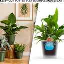 Terracotta Watering Spikes Large Clay Watering Globes Automatic Waterer for Self Water Plant Insert While on Vacation