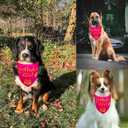 4 x Dog Birthday Bandana Girl Pink, Durable Triangle Reversible Scarf Bibs Handkerchief for Puppy Pet, Dogs Party Accessories for Small Medium Large