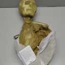 JOYIN 65" Halloween Decoration Cocoon Corpse, Animated Hanging Dead Body Prop Indoor Decor, Corpses Skeleton Outdoor Decor with Full Body Lights and LED Eyes & Spooky Sound for Yard, Haunted House