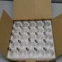 SUNSGNE Clear Globe G40 Bulbs Replacement Screw Base Light Bulbs 1.5-Inch, 5 Watt - Fits E12 and C7 Sockets, 25 Pack