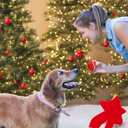 2 x LUCKITTY 3 Packs Christmas Dog Tennis Balls Interactive Toy Puppy for Small Medium Dogs Training Playing- Red, White, and Green Color Blocking Patterns 2.5 Inch