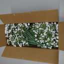 Waipfaru 30 Pcs Babys Breath Artificial Flowers, Baby Breath Flowers Artificial Bulk, Real Touch White Fake Flowers, Faux Babies Breath Gypsophila for Wedding Home Decor Floral Arrangement