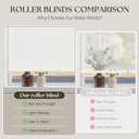 Birch Ivory Cordless Roller Shades Non See Through Blinds 32" W x 72" H