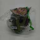 Mattel Jurassic World Dilophosaurus Role Play Mask with Venom Launchin Water Feature, Sound & Adjustable Frill, Dinosaur Costume Headgear Toy