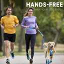 Hands-Free Dog Leash  Adjustable No-Pull Bungee Waist Leash with Car Seatbelt, Perfect for Walking, Jogging, Hiking & Training  Fits Small, Medium, and Large Dogs (Gradient Blue)