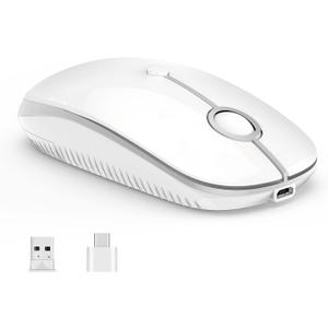 VssoPlor Type C Wireless Mouse, Dual Mode 2.4G Wireless Mouse USB C Cordless Mice with Nano USB and Type C Receiver Compatible with PC, Laptop, MacBook and All Type C Devices-White Silver