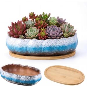 12.2 Inch Large Window Sill Planters Succulent Planter Pot with Tray, White Blue Gradient Glazed Ceramic Shallow Bonsai Planter, Lotus-Shaped Indoor Pot for Cactus & Succulents