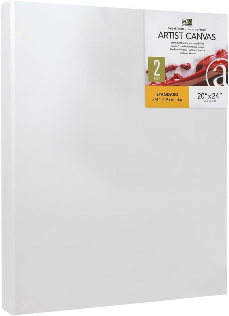 Art Advantage Artist Canvas Visual Edge 20x24, 2pc, Stretched Canvas for Painting, Blank Canvas for Acrylics & Oils, Canvases for Artists, Professional Pre-Stretched Canvas