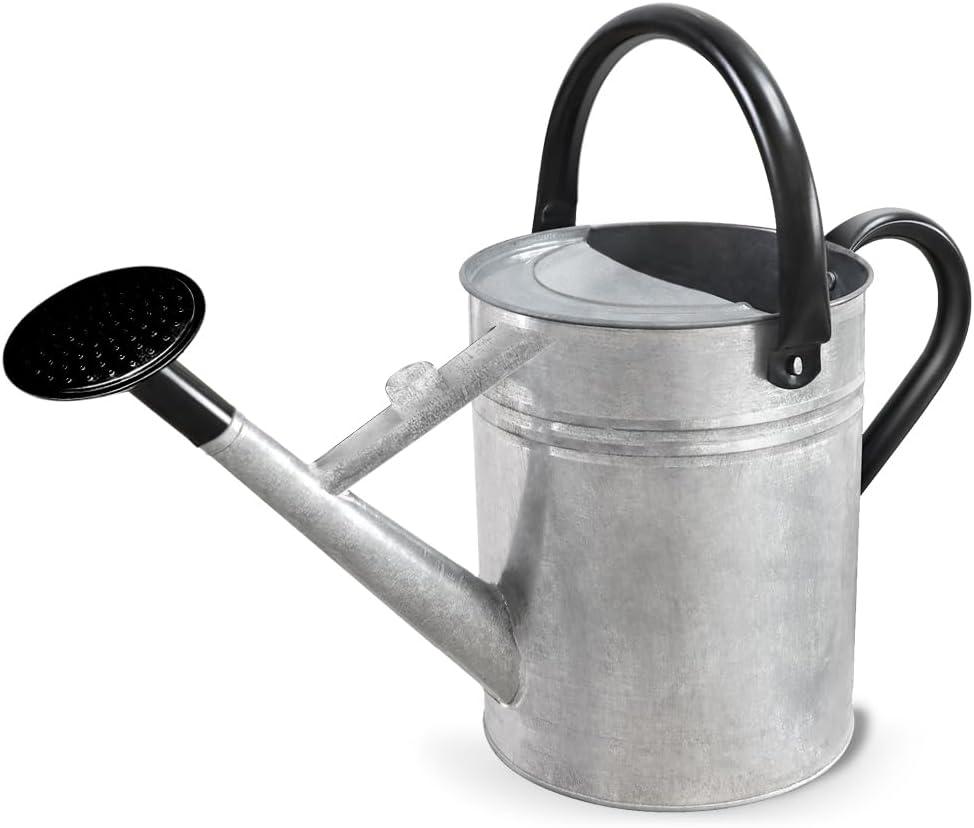 1 Gallon Metal Watering Can with Removable Spout, Nice Galvanized Steel Water Can for Indoor and Outdoor Plants (House Plants)