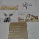 Wall Art Kit Frame Home (5pack) 11x14