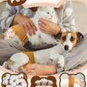 Dono Dog Diapers Female (20-60PCS), Disposable Pull it Up Diapers for Dogs Female with 360 Stretchy Waist, Diapers for Doggie in Heat Period, Super Absorbent Leak-Proof Puppy Diaper for Dogs, Elderly (Large, Pack of 2)
