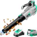 Litheli 20V Cordless Leaf Blower 350 CFM 85 MPH, Variable Speeds Electric Leaf Blower Battery Powered for Blowing Leaves, Dust, Snow, 4.0Ah Battery & Fast Charger Included