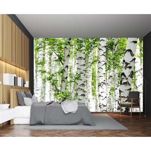 Cliouar-Photo Wallpaper Birch Forest Landscape Trees Poster Nature Lovers Green Forest Bedroom Decoration Mural 158"x110"(Not Peel and Stick)