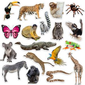 Fuutreo 36 Pcs Jungle Animals Cutouts Jungle Bulletin Board Decorations Realistic Rainforest Animals Figures Cutouts Jumbo Safari Cut Out Rainforest Bulletin Board Activities Party Decor
