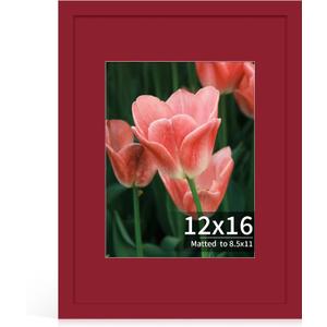 12x16 Picture Frame, Real Glass, Wood Frame with 8.5x11 Colorful Mat